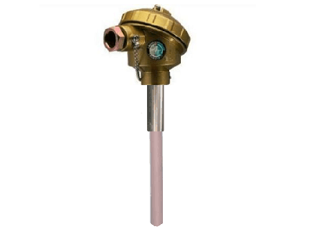Type à hautes températures thermocouple en céramique de rhodium de platine du capteur R S B d'immersion de sonde