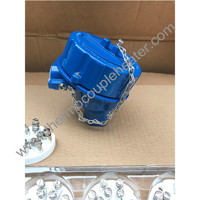 bleu à l'épreuve de l'explosion Tête de thermocouple Bp5e à l'épreuve de l'explosion