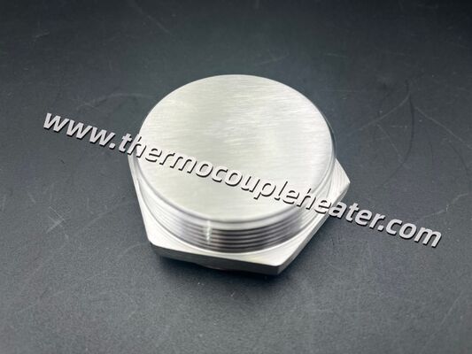 Custom SS304 Threaded Screw Plug Flange For Immersion Heater With Matching Terminal Box