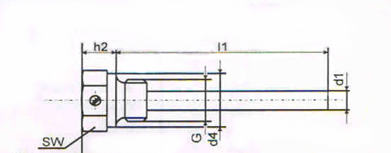 Thermocouple de soudure Thermowell de fil de bride pour la sonde insérée de capteur de température